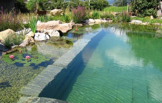 5 idées pour une piscine plus écologique