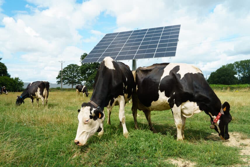 Photovoltaïque agriculture